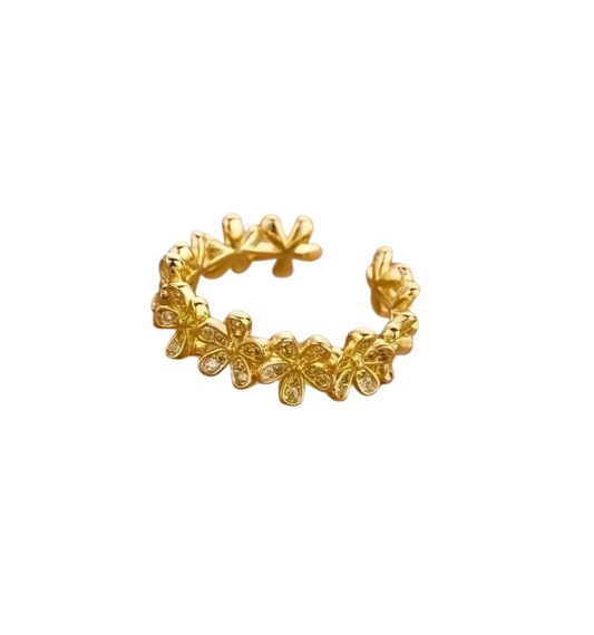 Bague Aly